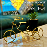 Gilded Tricycle with Ceramic Plant Pot