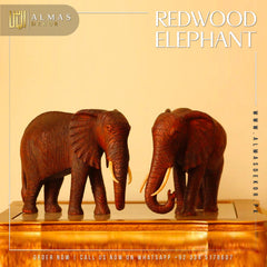 Redwood Elephant