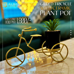 Gilded Tricycle with Ceramic Plant Pot