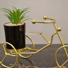 Gilded Tricycle with Ceramic Plant Pot