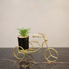 Gilded Tricycle with Ceramic Plant Pot